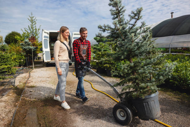 Best Tree Removal  in Erath, LA